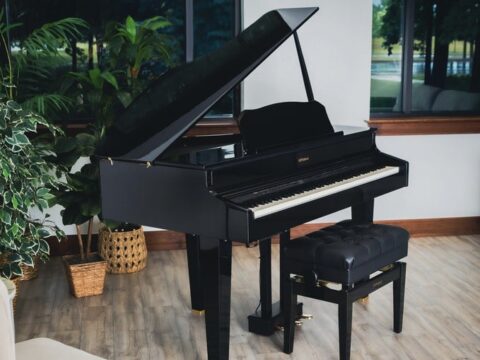 Đàn Piano Roland GP 607 PE