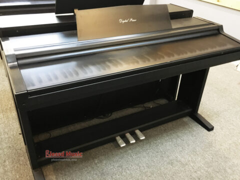 Đàn Piano Điện Kawai PW 300