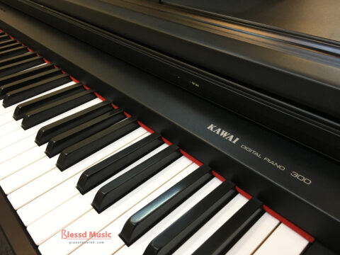 Đàn Piano Điện Kawai PW 300