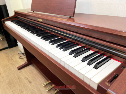 Đàn Piano Điện Kawai CN 21M
