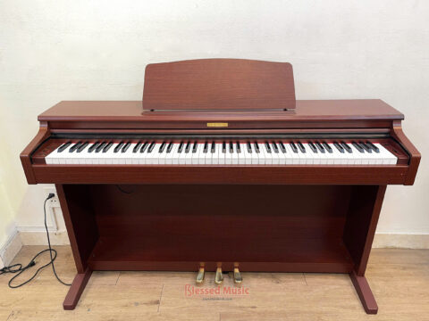 Đàn Piano Điện Kawai CN 21M