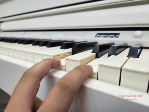 Đàn Piano điện Roland HP 704 WH