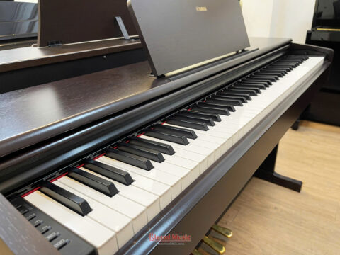 Đàn Piano điện Yamaha YDP 145R