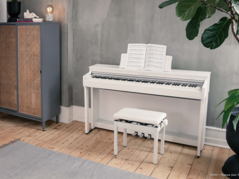 Đàn Piano điện Kawai CN 301WH