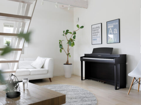 Đàn Piano điện Kawai CN 301B