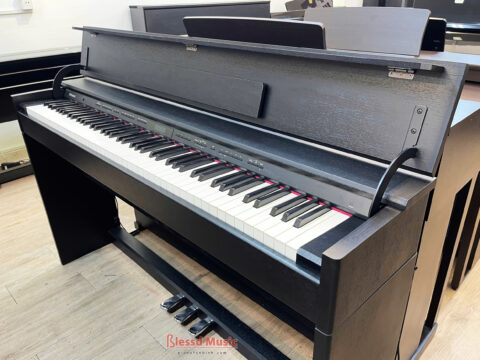 Đàn Piano Điện Roland DP 603 B