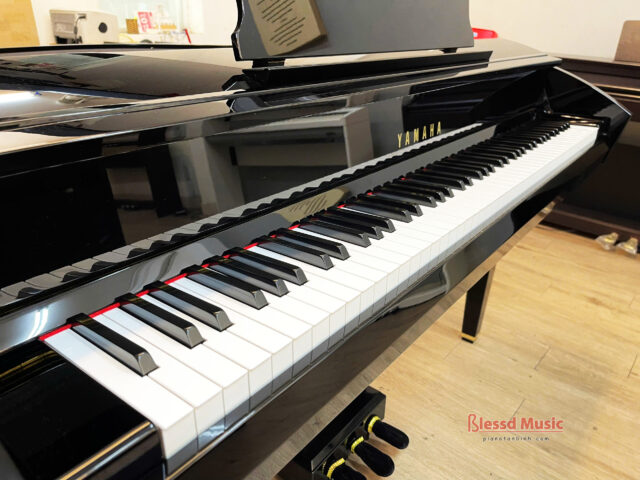 Đàn Yamaha DGP 7