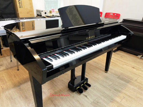 Đàn Yamaha DGP 7