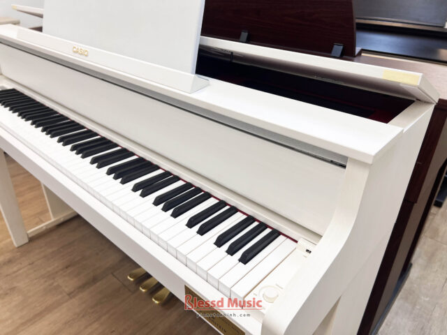 Đàn Casio GP 310 WE