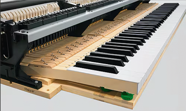 Phím đàn bằng chất liệu gỗ vân sam