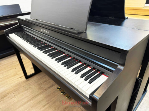 Đàn Piano Điện Kawai CA 49R