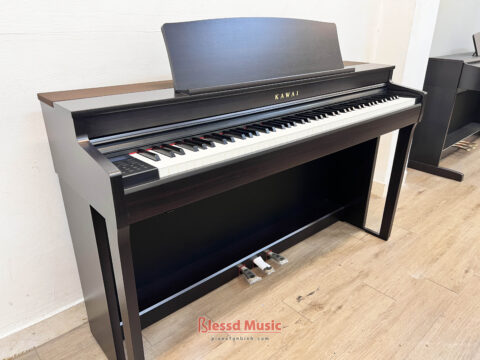 Đàn Piano điện Kawai CN 301R