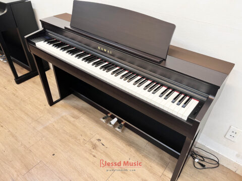 Đàn Piano điện Kawai CN 301R