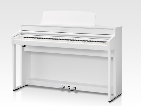 Đàn Piano Điện Kawai CA 501 W