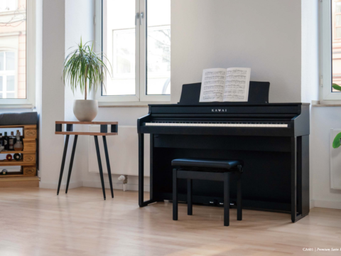 Đàn Piano Điện Kawai CA 501B