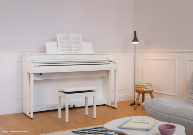 Đàn Piano Điện Kawai CA 501 W