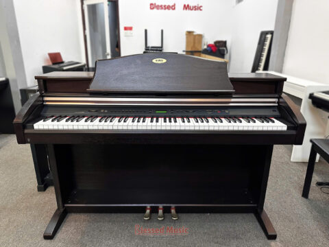 Đàn Piano điện Kawai PW 1000R