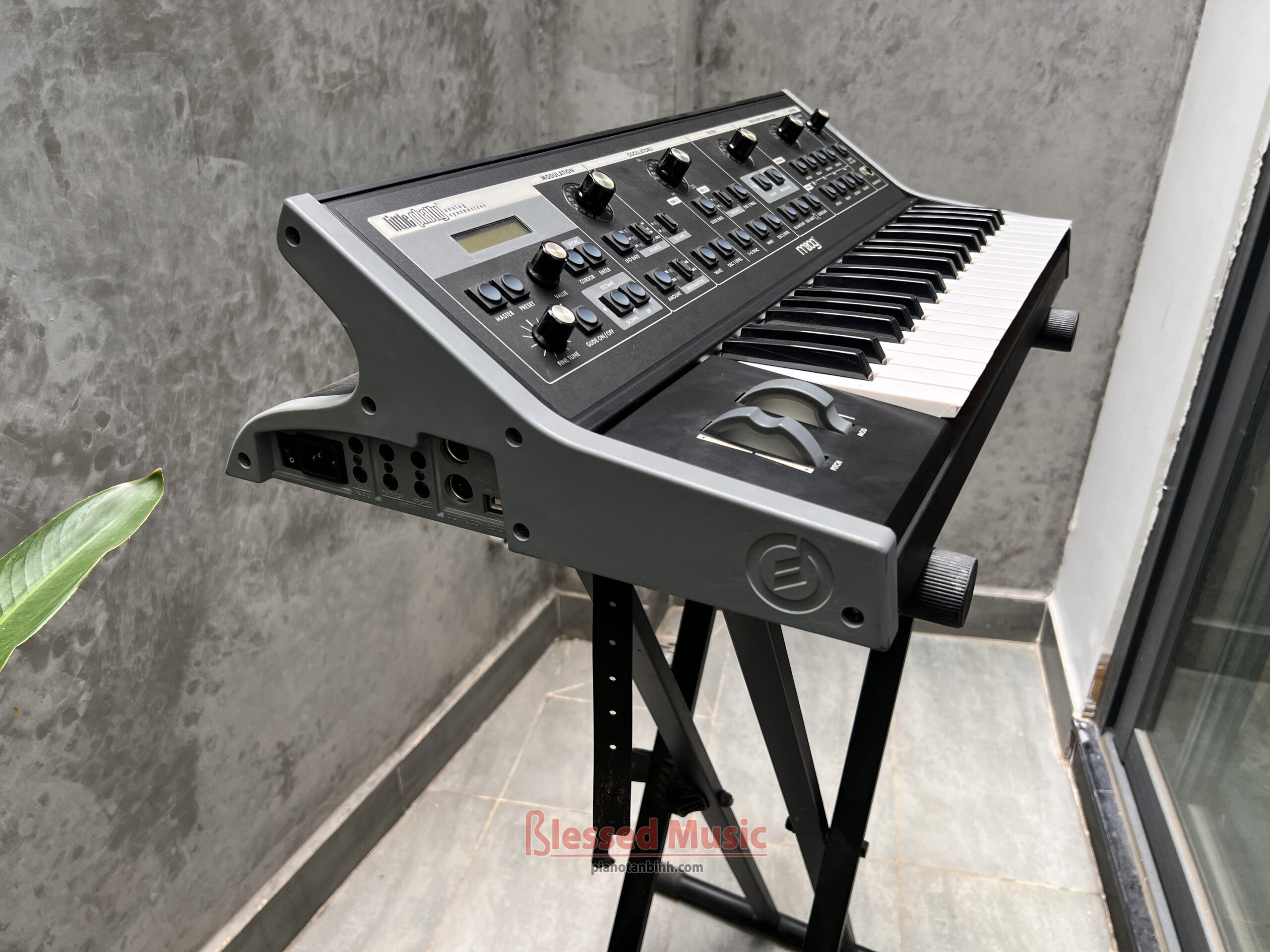 Moog Little Phatty Stage II