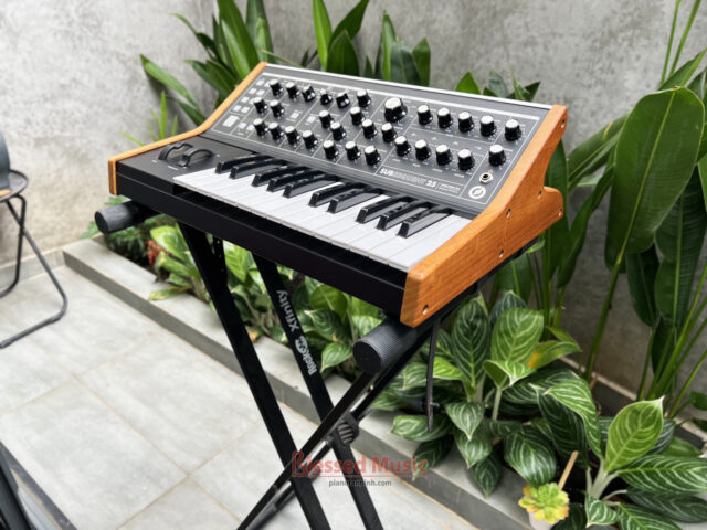 Moog Subsequent 25