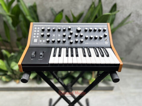 Moog Subsequent 25