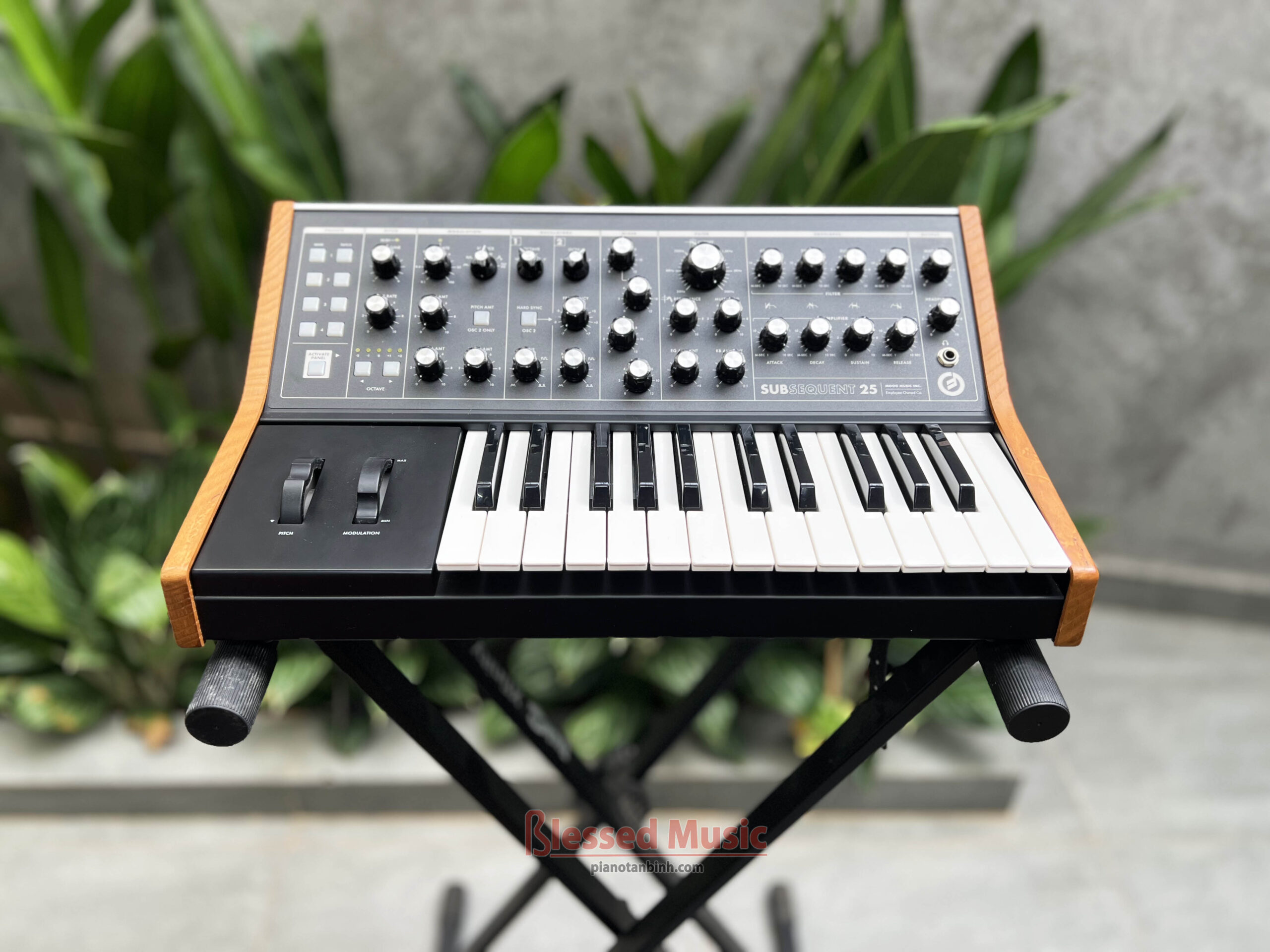 Moog Subsequent 25