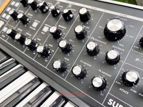 Moog Subsequent 25