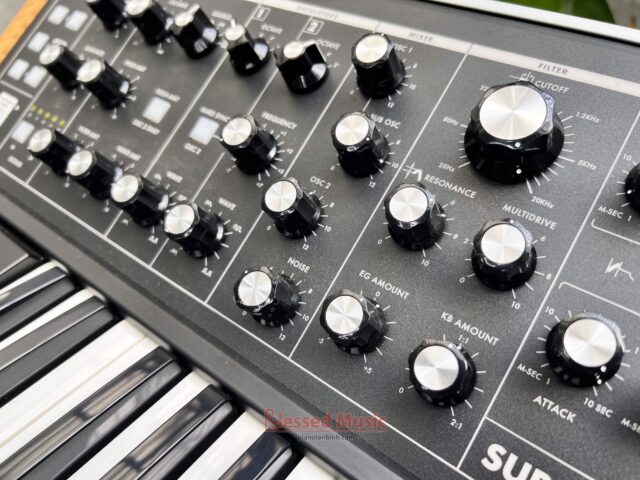 Moog Subsequent 25