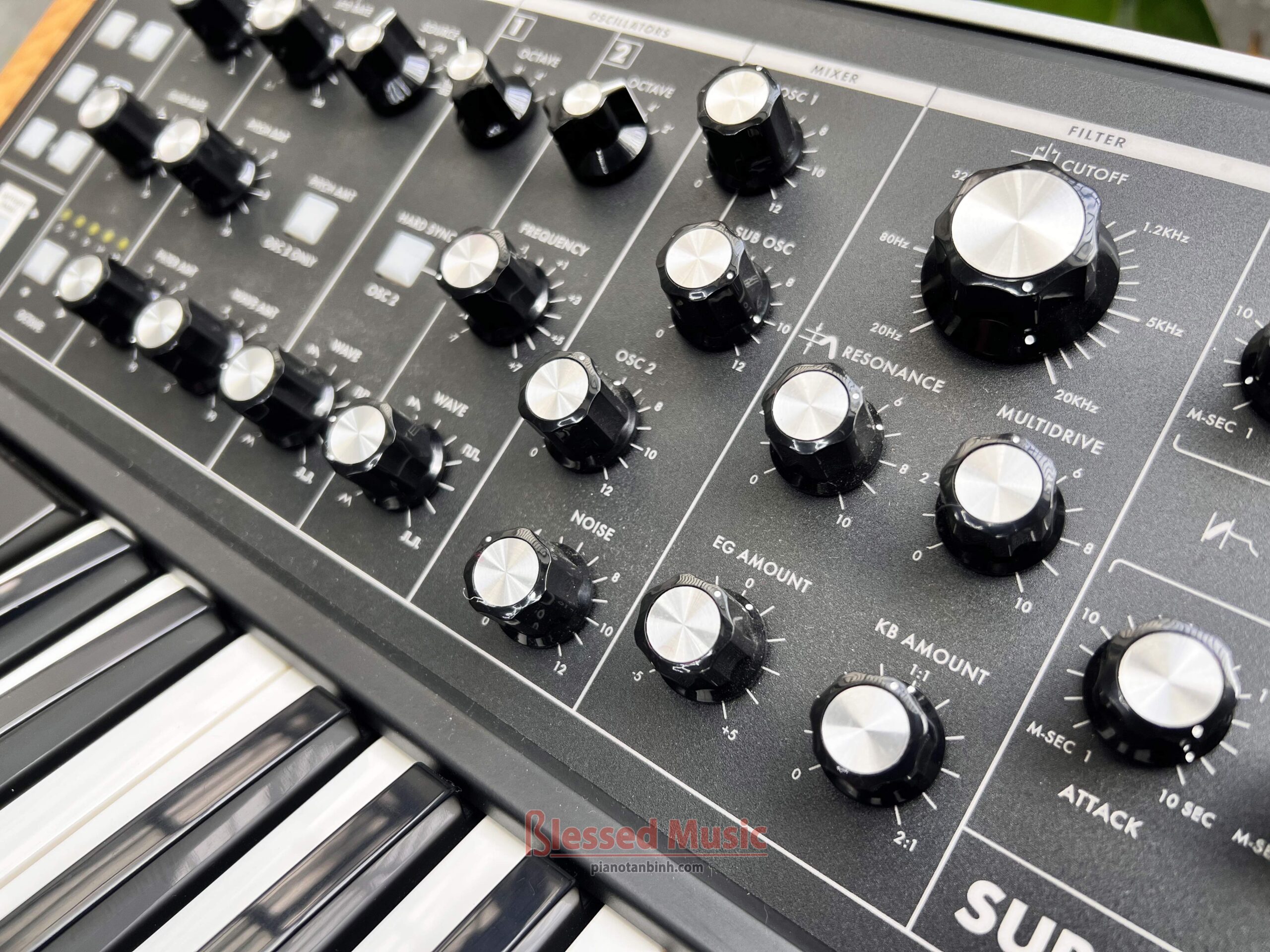 Moog Subsequent 25