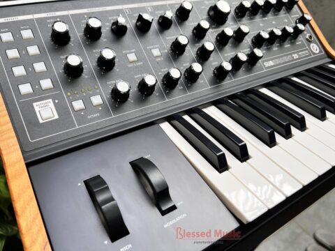 Moog Subsequent 25