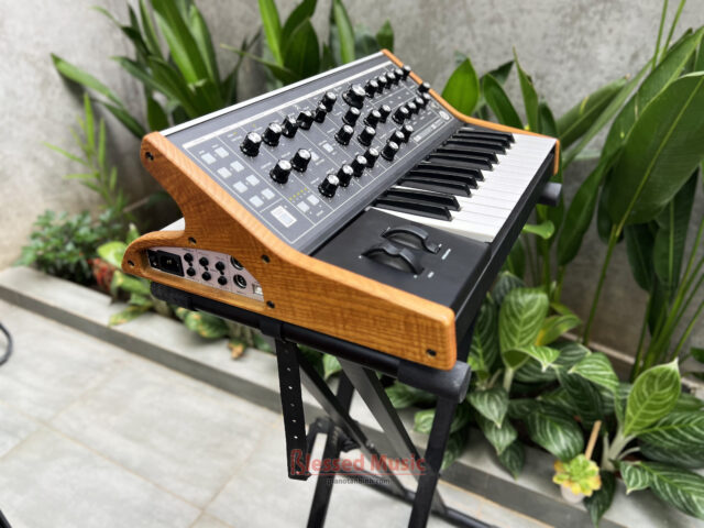 Moog Subsequent 25