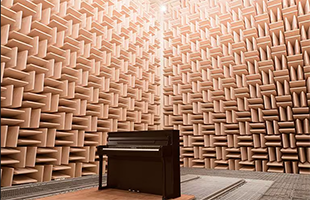 Công nghệ Grand Acoustic Imaging