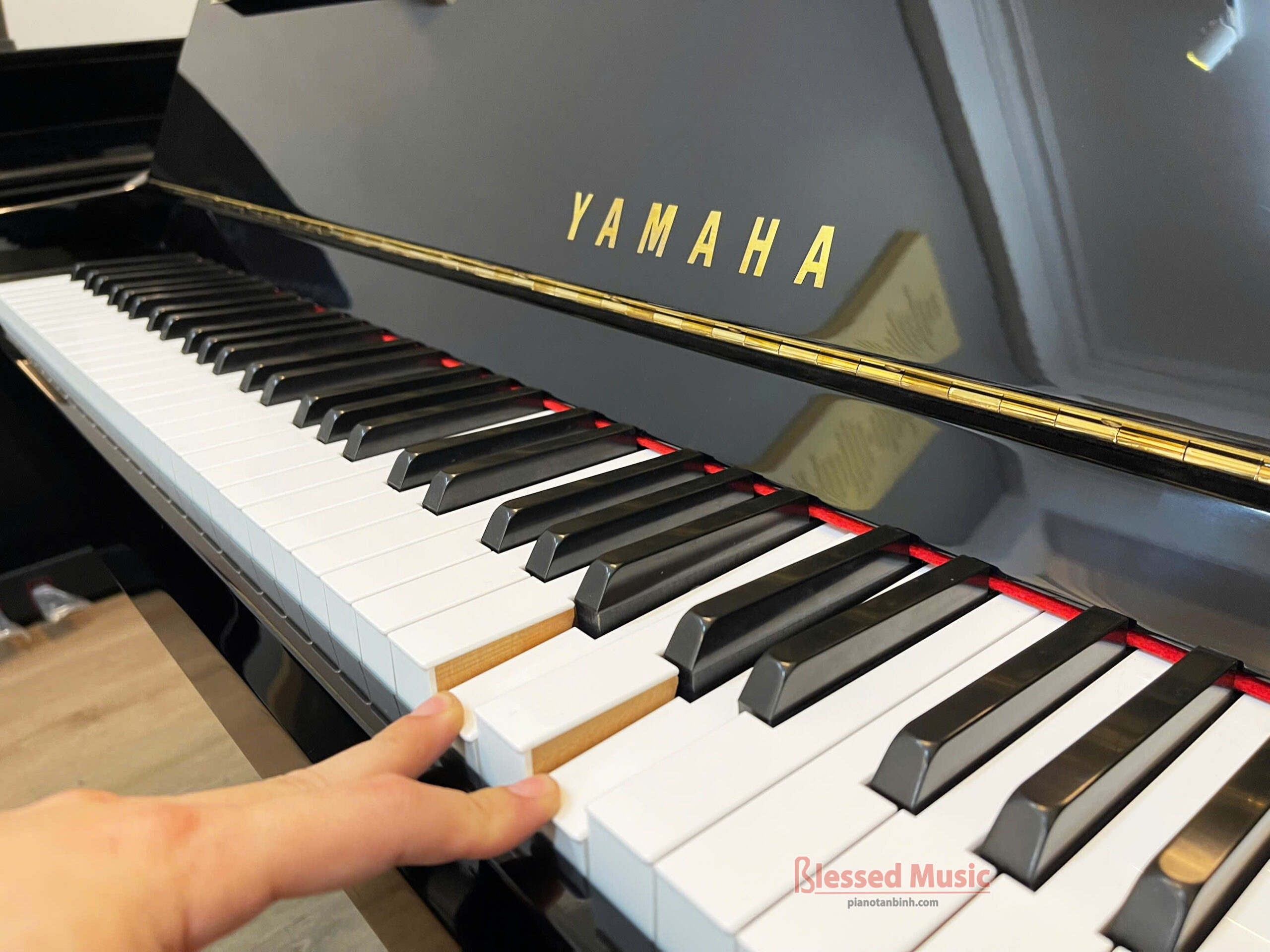 Đàn Yamaha DGP 2XG