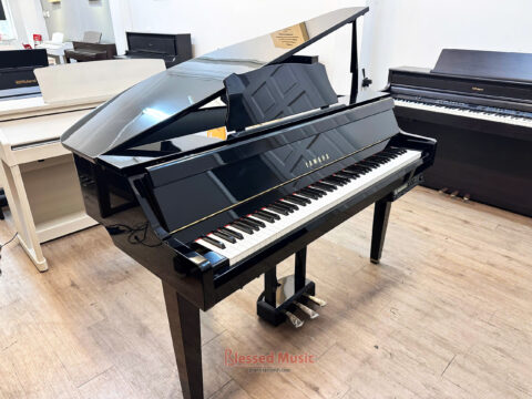 Đàn Yamaha DGP 2XG