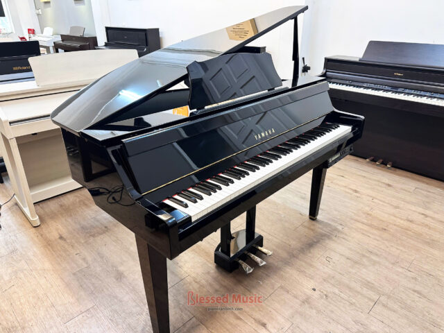 Đàn Yamaha DGP 2XG