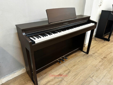 Đàn Piano điện Kawai CN 29DW