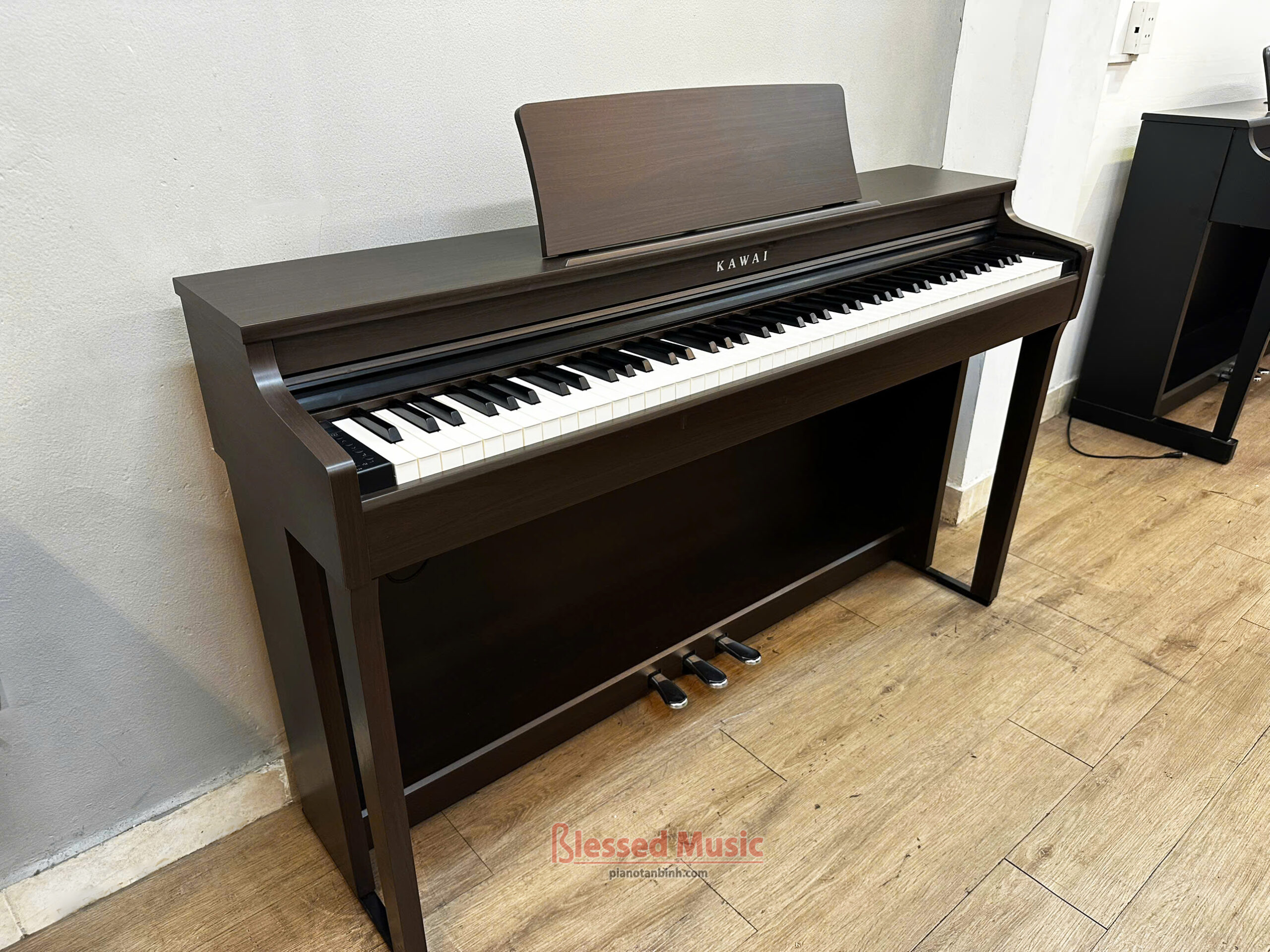 Đàn Piano điện Kawai CN 29DW